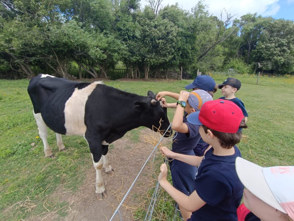 https://colegioatahualpa.edu.uy/wp-content/uploads/2024/11/WhatsApp-Image-2024-11-07-at-3.25.19-PM-1024x768.jpeg